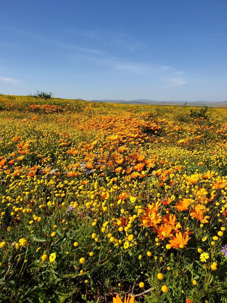 Namaqualand Eco Lodge Soebatsfontein エクステリア 写真