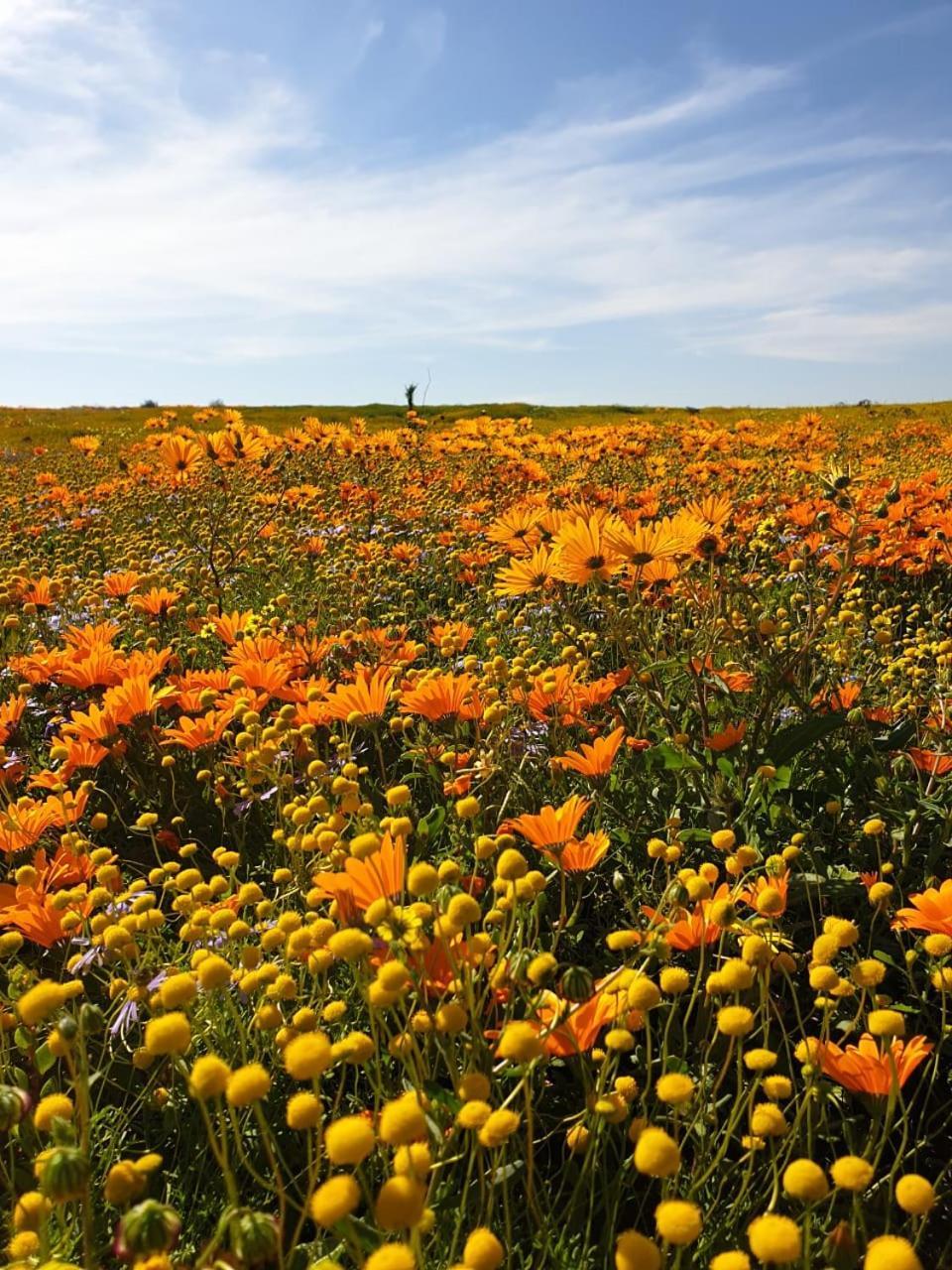 Namaqualand Eco Lodge Soebatsfontein エクステリア 写真