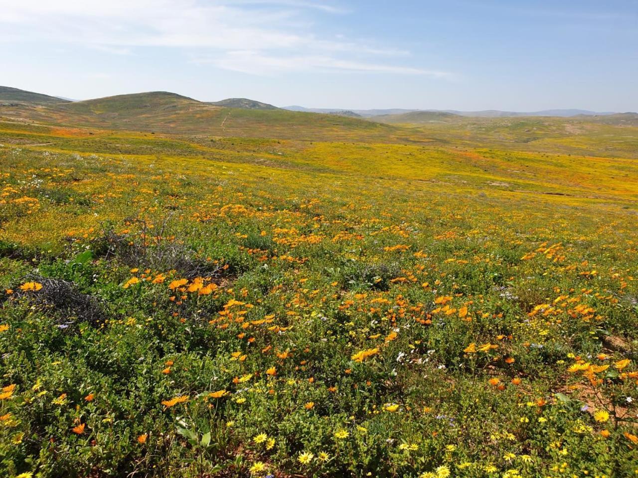 Namaqualand Eco Lodge Soebatsfontein エクステリア 写真